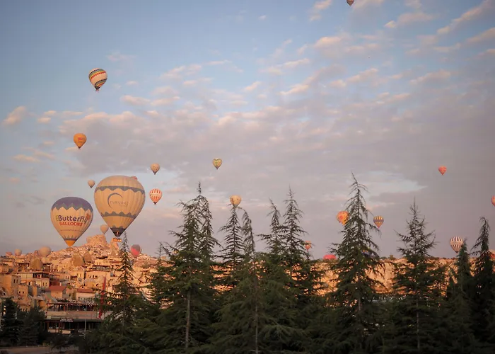 Feel Cappadocia Stone House